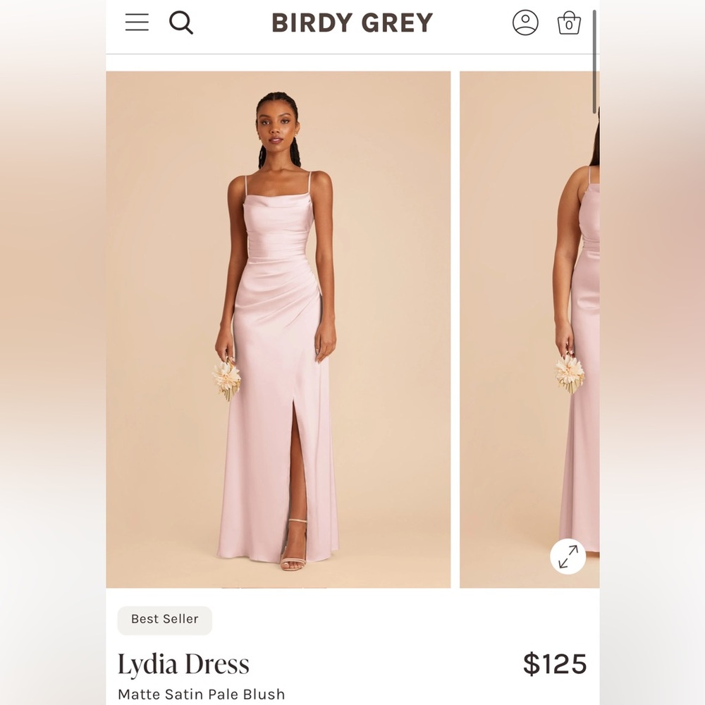 Birdy Grey Lydia Dress in Pale Blush